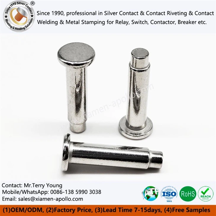 Iron Core for High-Voltage EV Relay Iron Core for High-Voltage EV Relay